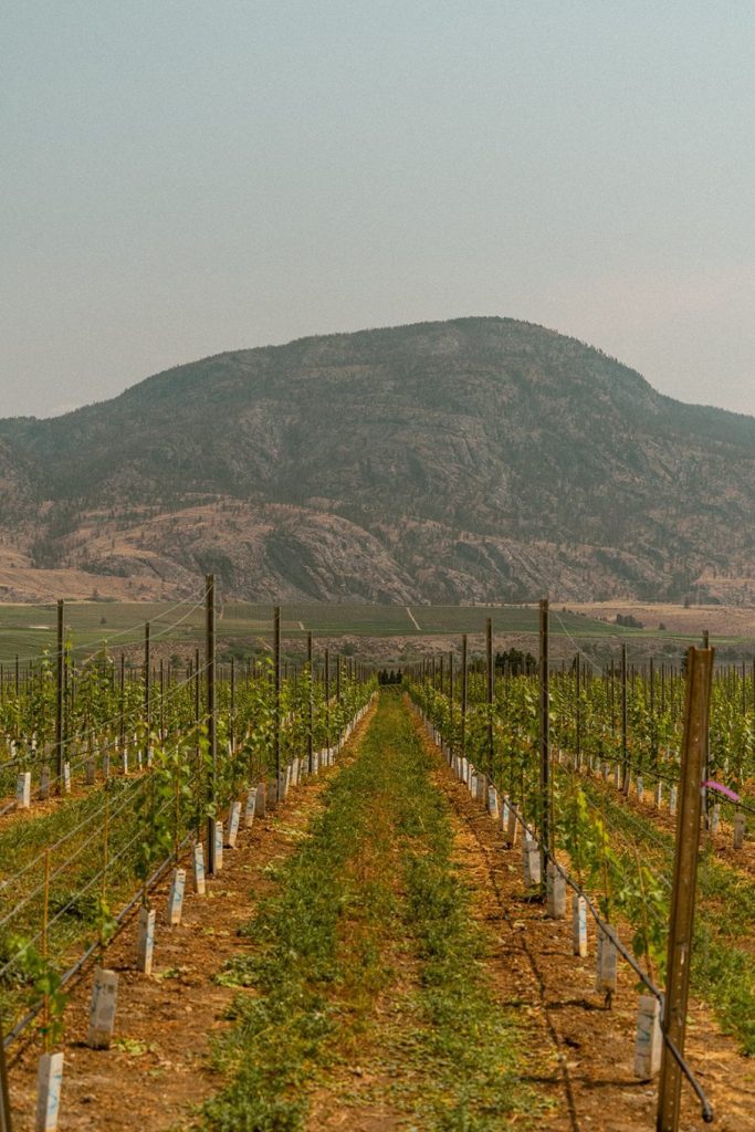 6 fun things to do in Osoyoos, British Columbia 7 DSC02092