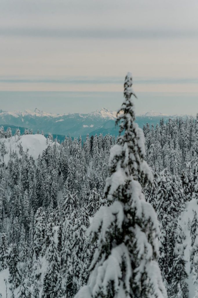 20 best things to do in Vancouver during the Christmas holidays 25 Postcards from Hawaii Travel Lifestyle blog 20 best things to do in Vancouver during the Christmas holidays Canada