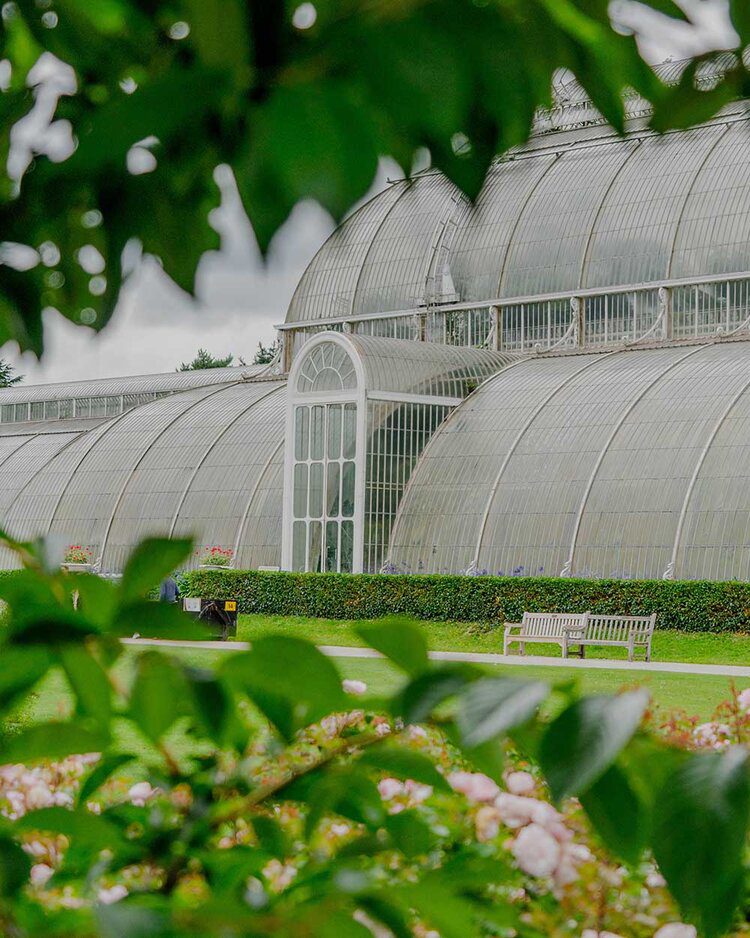 PFH 5 favourites: August 7 PFH5favouritesAugustPFHPostcardsfromHawaiiTravelBlogKewGardensRichmondRoyalBotanicalGardens 1 1