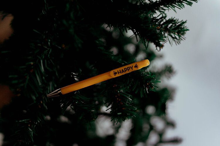 The ultimate Christmas gift guide for travellers 2019 12 PostcardsfromHawaiiPFHUltimateChristmasGiftGuideforTravellers7yearpen